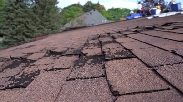 Best Sheet Metal Roofing  in Thatcher, AZ