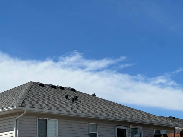 Best Roof Moss and Algae Removal  in Thatcher, AZ